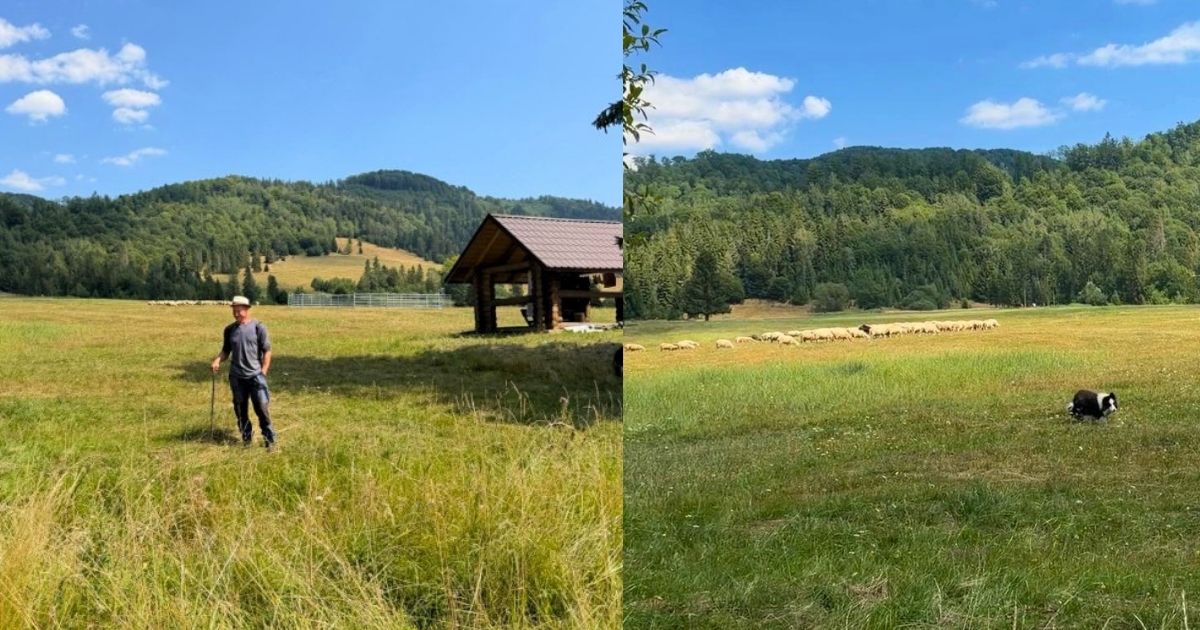 Salaš Zbojská so psom – dogfriendly miesto na Gemeri